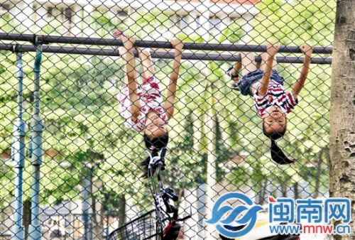 天比一天热 夏天如何科学喝水AG真人网站漳州未来三天一